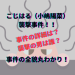 こじはるのイベント 襲撃した男は誰 事件の詳細