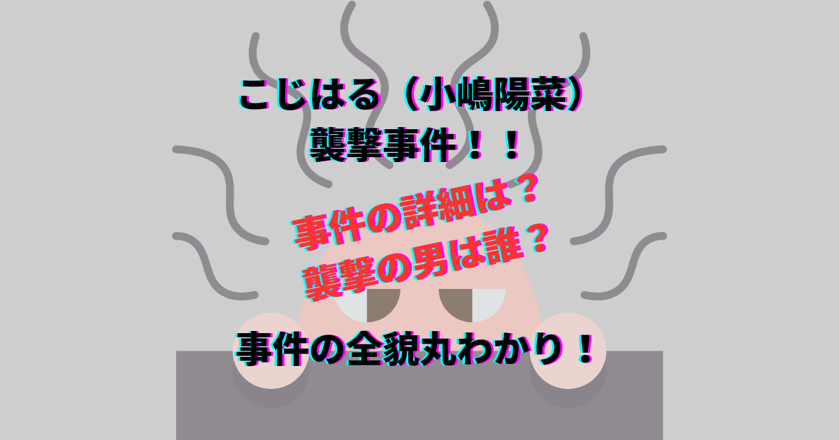 こじはるのイベント 襲撃した男は誰 事件の詳細